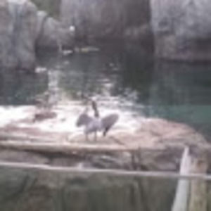 Meet your Posher, Celia